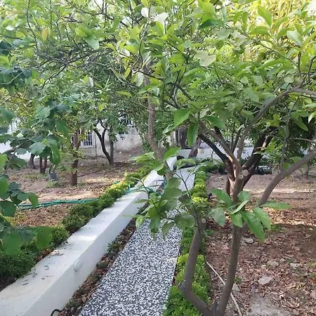 Mel's Garden House In The Heart Of The * Αλικαρνασσός