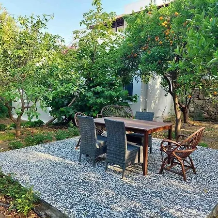 Mel's Garden House In The Heart Of The Semesterbostad *